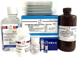 Tris-醋酸-SDS-PAGE電泳試劑盒（變性電泳，含預(yù)制膠）