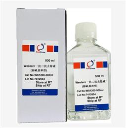 Western一抗二抗去除液（弱堿，溫和型）